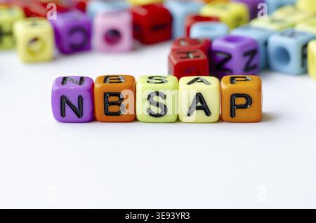 NBSAP-Text zu mehrfarbigen Würfeln, die die nationale Biodiversitätsstrategie und den Aktionsplan darstellen. Erhaltungskonzept Stockfoto