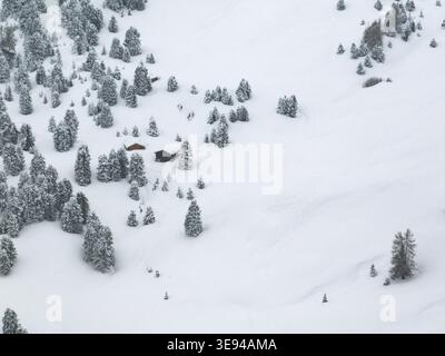Blick aus der Vogelperspektive auf den schneebedeckten Sellapass mit kleinen Holzhütten inmitten von Kiefern an einem Winterhang in Wolkenstein, Trentino-Südtirol, Italien. Stockfoto