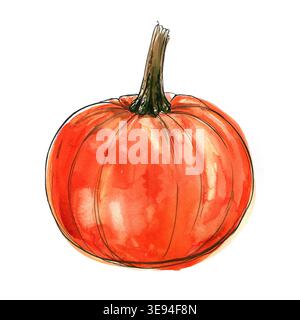 Ein Stück orangefarbener Kürbis mit Samen, die mit Aquarell auf weißem Hintergrund bemalt sind. Eine farbige Skizze von Gemüse mit Mascara und Farbe. Landwirtschaftliche Erzeugnisse Stockfoto
