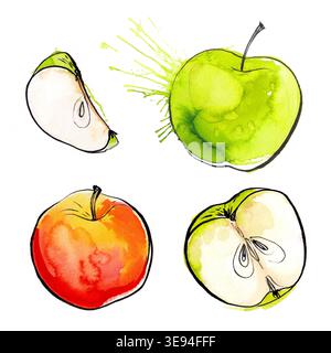 Äpfel mit Aquarellen auf weißem Papier. Roter Apfel, grüner Apfel, Blatt, halber Apfel Stockfoto