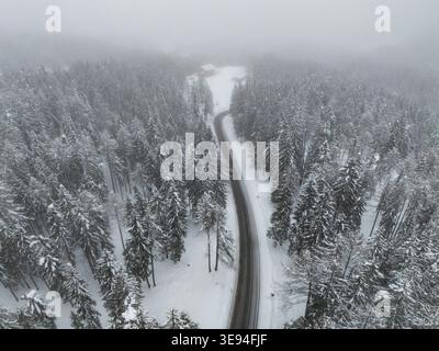 Aus der Vogelperspektive einer gewundenen Asphaltstraße, die durch einen dichten, schneebedeckten Kiefernwald unter einer dicken Decke aus Winternebel in den Dolomiten Rocca Piet führt Stockfoto