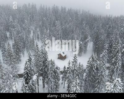 Aus der Vogelperspektive einer kleinen Holzhütte in einem dichten, schneebedeckten Kiefernwald in den Dolomiten unter einem nebeligen Winterhimmel in Rocca Pietore, Veneto, IT Stockfoto