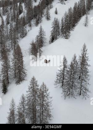 Aus der Vogelperspektive einer kleinen Holzhütte auf einem schneebedeckten Hang in den Dolomiten in der Nähe von Rocca Pietore, Veneto, Italien. Stockfoto