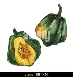Aquarell Grün und Gelb Kürbis isoliert auf weißem Hintergrund Stockfoto