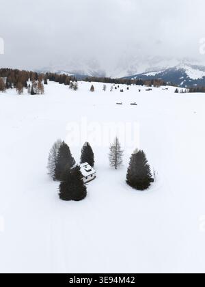 Aus der Vogelperspektive einer kleinen Holzhütte umgeben von hohen immergrünen Bäumen in der riesigen schneebedeckten Landschaft der Seiser Alm, Provinz autonoma di Bolz Stockfoto