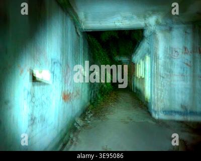 Dunkler Tunnel mit Graffiti und Moos, der an den Wänden wächst. Betonboden weist Verschleiß und verstreute Blätter auf. Licht filtert durch eine ferne Öffnung in Dimmen Stockfoto
