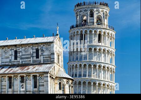 Touristen genießen den Besuch des Schiefen Turms und der Kathedrale auf der Piazza dei Miracoli in Pisa an einem sonnigen Tag. Stockfoto