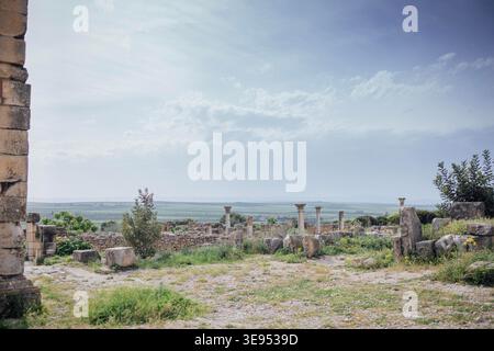 Alte Steinruinen mit Säulen und Grün, vor einem bewölkten Himmel mit Panoramablick auf die Landschaft dahinter, Volubilis, Marokko Stockfoto