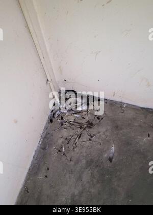 Gebrochene Leitung tropft auf Betonboden. Wasserflecken markieren Wand und Boden. Trümmer liegen in der Nähe der Ecke verstreut. Das Rohr verläuft vertikal gegen die Wand. Dunkler Pud Stockfoto