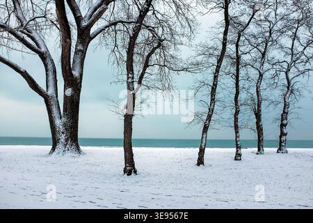 Schneebedeckte Bäume stehen vor einem ruhigen See unter einem bewölkten Himmel. Stockfoto
