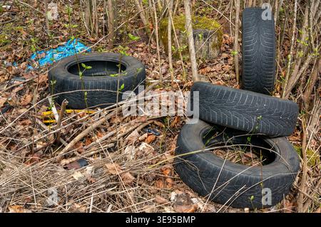 Alte Autoreifen wurden im Wald abgeladen, Umweltverschmutzung Stockfoto