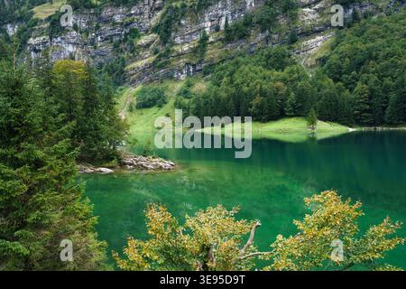 Idyllische Seealpsee-Reflexion im Alpstein im Sommer in Appenzell, Schweiz Stockfoto
