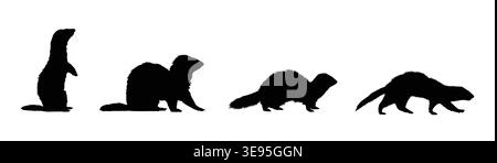 Set Ferret-Silhouette Stock Vektor