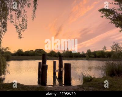 Goldener Sonnenaufgang über dem See auf der Pool Bridge Farm, York Stockfoto