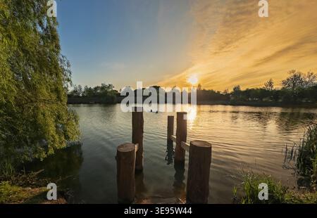 Zwei Schwimmer mit Silhouette, die bei Sonnenaufgang schwimmen, vom Seeufer aus gesehen auf der Poolbridge Farm. York. Stockfoto