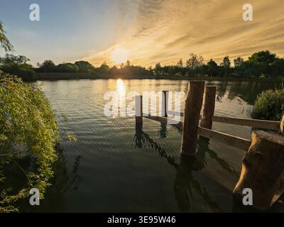 Sonnenaufgang über dem Poolbridge Farm Lake in York, mit goldenem Licht auf dem Wasser und Holzpfosten, die in die ruhige Szene führen. Stockfoto