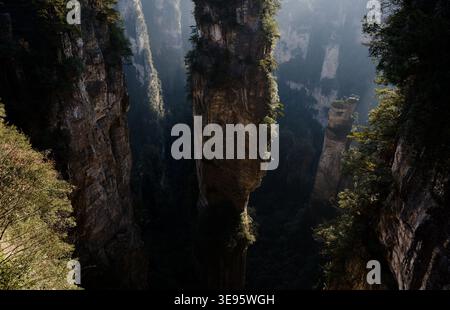 Sonnendurchflutete Sandsteinspitzen werfen Schatten über den tiefen Canyon im Zhangjiajie National Forest Park Stockfoto
