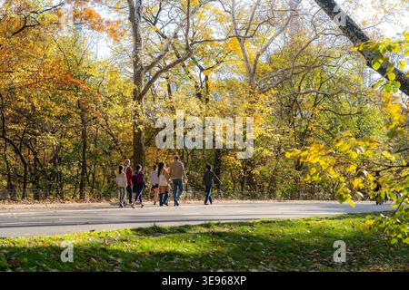 Manhattan, USA - 08. November 2025: Blick auf eine Gruppe von Menschen, die einen Pfad im Central Park entlang laufen, umgeben von Bäumen in lebhafter Herbstkugel Stockfoto