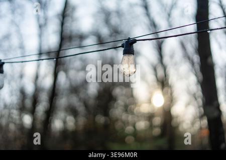 Nahaufnahme des Lichterketten im Freien mit Wassertropfen bei Sonnenaufgang. Sanfter Bokeh-Hintergrund und friedliche morgendliche Atmosphäre, Konzept des ruhigen und frischen Sterns Stockfoto