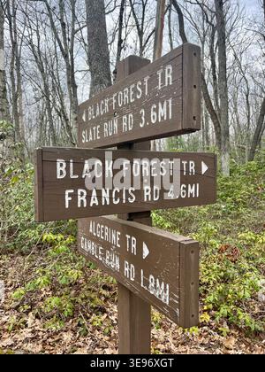 Schild für den Black Forest Trail an der Kreuzung der Wanderwege im Norden von Pennsylvania. Stockfoto