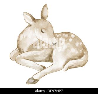 Hirsch handgemalte Aquarellillustration von Rehkitz und Rehwild. Rotwild isoliertes Clipart-Objekt mit friedlicher Ruheposition. Passend zum Geburtstag, Stockfoto