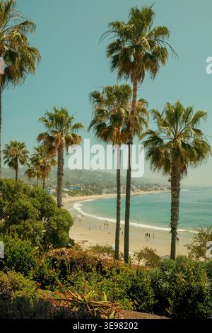 Palmen mit Blick auf die Küste in Laguna Beach, Kalifornien, USA, mit Meer und ferne Küste. Stockfoto