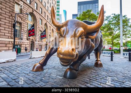 New York, USA - 17. September 2019: Ikonische Charging Bull-Skulptur, die finanzielle Macht und Widerstandsfähigkeit in Manhattans Wall Street di symbolisiert Stockfoto