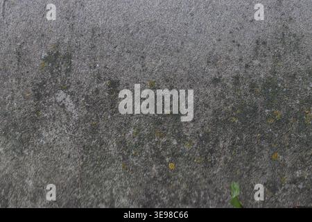 Spuren deuten auf eine jüngste Bewegung auf ruhigem, sonnendurchflutetem Boden hin. Minimalistisches Design für beruhigende, natürliche Texturen. Ideal für Strand und Reisen Stockfoto