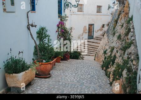 Bezaubernde Kopfsteinpflasterallee in der Altstadt von Altea mit weißen Gebäuden, blühenden Bougainvillea und Kletterweben an einem sonnigen spanischen Urlaub Stockfoto
