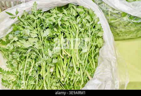 Frische italienische flache Petersilie in einer durchsichtigen Plastiktüte auf einem Bauernmarkt. Die hellgrünen Blätter heben die natürlichen, ökologischen landwirtschaftlichen Produkte hervor. Stockfoto