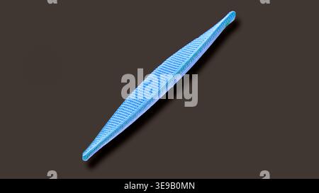Kieselalgen. Farbige Rasterelektronenmikrographie (REM). Vergrößerung: x2000 bei Druck in einer Breite von 10 Zentimetern. Stockfoto