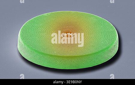 Kieselalgen. Farbige Rasterelektronenmikrographie (REM). Vergrößerung: x2000 bei Druck in einer Breite von 10 Zentimetern. Stockfoto