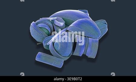 Kieselalgen. Farbige Rasterelektronenmikrographie (REM) einer Sammlung verschiedener Kieselalgen-Arten. Vergrößerung X 500 bei 10 Zentimetern Breite. Stockfoto