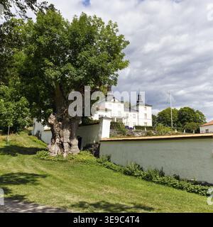 Wanderweg mit Blick auf Schloss Stenhammar, königliches Landgut, König Carl XVI Gustaf, Schutzmauer, Flen, Soedermanland County, Schweden Stockfoto