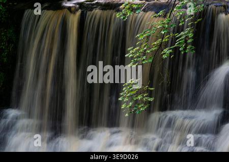 Seidenförmiger Wasserfall, der über gestufte Felsen in Swaledale stürzt Stockfoto