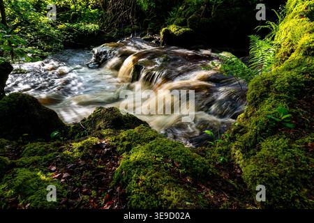 Seidenförmiger Wasserfall, der über gestufte Felsen in Swaledale stürzt Stockfoto