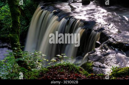 Seidenförmiger Wasserfall, der über gestufte Felsen in Swaledale stürzt Stockfoto