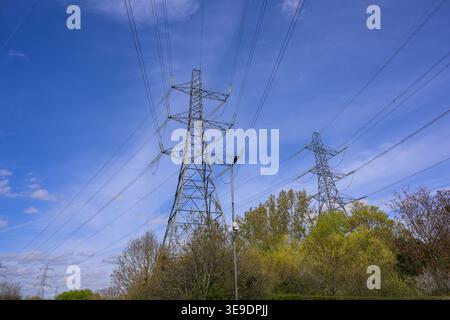 Stromübertragungsmasten vor einem klaren blauen Himmel, die die Energieinfrastruktur, die Energieverteilung und die Industrielandschaft hervorheben. Stockfoto