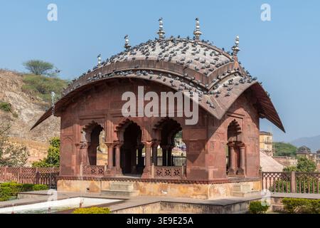 Tauben, die sich auf einem kuppelförmigen Pavillon aus rotem Sandstein am Maota Lake, Amber Fort Complex, Jaipur, Rajasthan, Indien niederschlagen Stockfoto