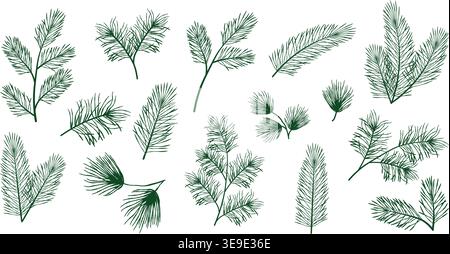 Handgezeichnetes Set aus detaillierten Kiefern-, Fichten- und Tannenzweigen in einfarbiger Linienart, eleganter, immergrüner botanischer Clipart-Kollektion für Weihnachten und Winter Stock Vektor