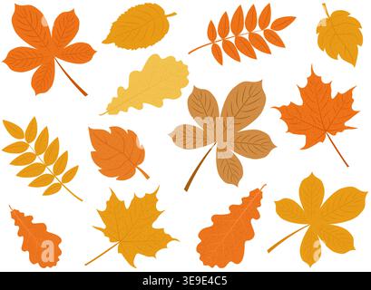 Herbstlaub von verschiedenen Bäumen. Gefallene Blätter in warmen saisonalen Farben für Muster, Banner, Aufkleber. Vektorabbildung Stock Vektor