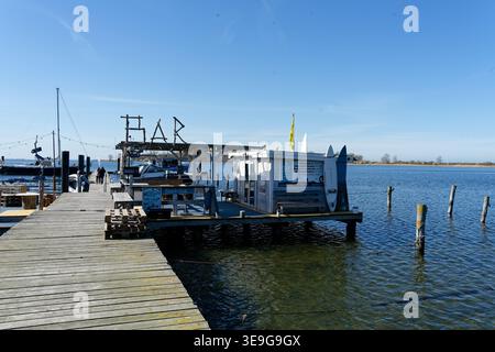 Deutschland, Mecklenburg Vorpommern, Rerik, 8. April 2026: Surfclub Bar zieht Touristen und Einheimische an einem sonnigen Tag an der Ostseeküste an Stockfoto