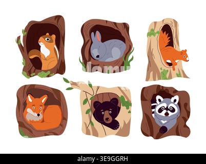 Niedliche Waldtiere in Baumhöhlen flache Vektor-Set, Chipmunk Kaninchen Eichhörnchen Fuchs Bär Waschbär Zeichentrickfiguren, Wald Tierwelt Illustration Stock Vektor