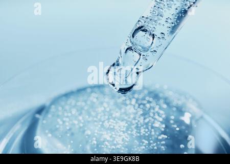 Glastropfer, der Flüssigkeit mit Blasen auf die Petrischale im medizinischen Labor aufträgt Stockfoto