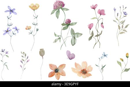 Aquarellflorale Elemente mit Wildblumen, Feldkräutern, Klee, Schmetterling. Handgemalte botanische Sammlung isoliert auf weißem Hintergrund. Stock Vektor