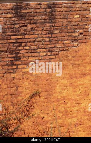 Teil einer rötlich-orangen Ziegelwand. Stockfoto