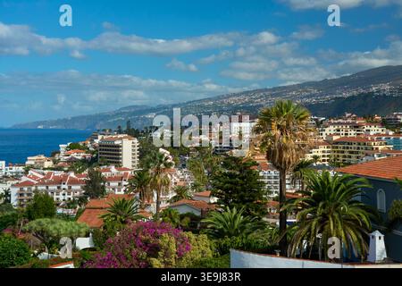 Panoramablick auf die Stadt Puerto de la Cruz und die Küste mit Atlantik, üppigem Grün und Bergen unter blauem Himmel, Teneriffa, Kanarischen Inseln. Stockfoto