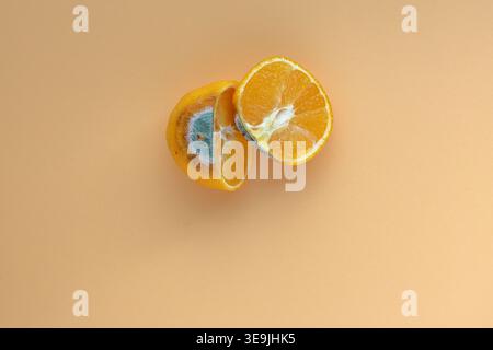 Alte schimmelige Mandarinen-Zitrusfrucht, in zwei Hälften geschnitten. Konzept von hässlich außen, wunderschön innen. Frisch und verrottet gleichzeitig. Genießbar. Stockfoto