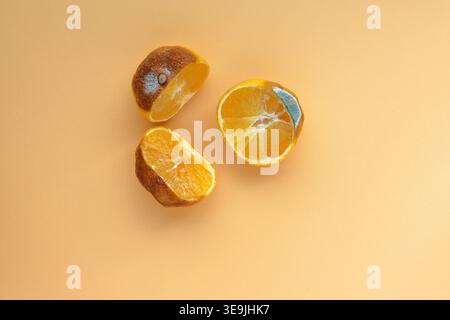 Alte schimmelige Mandarinen-Zitrusfrucht, in zwei Hälften geschnitten. Konzept von hässlich außen, wunderschön innen. Frisch und verrottet gleichzeitig. Genießbar. Stockfoto