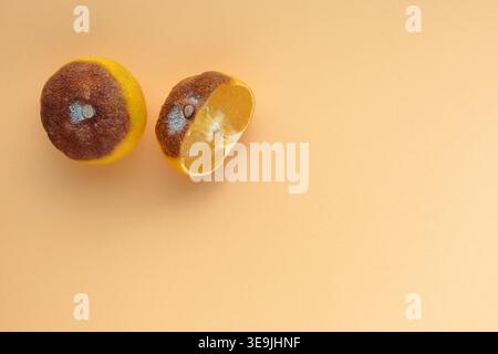 Alte schimmelige Mandarinen-Zitrusfrucht, in zwei Hälften geschnitten. Konzept von hässlich außen, wunderschön innen. Frisch und verrottet gleichzeitig. Genießbar. Stockfoto